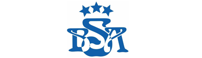 Baltic International Academy logo